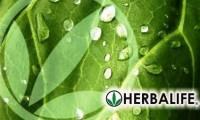 /album/nutricion-amp-bienestar-hlf/hbl1-jpg/