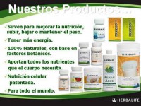 /album/nutricion-amp-bienestar-hlf/hbl6-jpg/