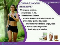 /album/nutricion-amp-bienestar-hlf/hbl8-jpg/